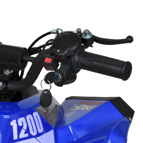 Електроквадроцикл дитячий Bambi Racer E-XBW-1200-4(MP3) (колеса: Ø13.4"/Ø13.8"/гума, акк. 48V/12Ah, мотор: 48V/1200W, до 23 км/г, до 75 кг) фото 7