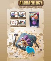 Розкопки 129-63 гіпсовий блок, кристали, інструменти, в коробці