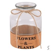 Ваза скляна "Flowers&Plants" 7*15см Stenson R35673-W