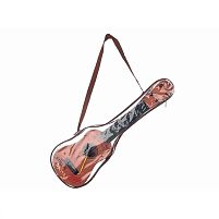 Гітара B 68 C в сумці