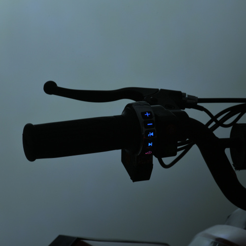 Електроквадроцикл дитячий Bambi Racer E-XBW-1200-4(MP3) (колеса: Ø13.4"/Ø13.8"/гума, акк. 48V/12Ah, мотор: 48V/1200W, до 23 км/г, до 75 кг) фото 9