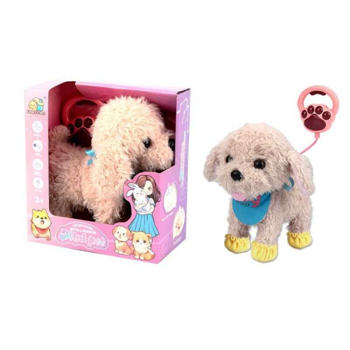 Улюбленець 8832-69 в коробці